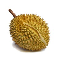 Frozen Whole Musang King Durian D197